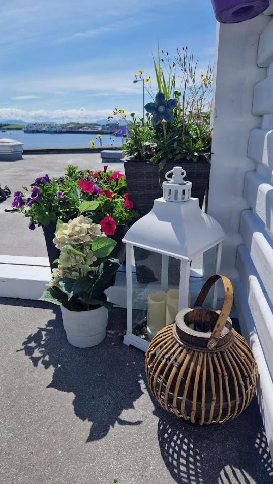 Rosie'S Apartments Killybegs Εξωτερικό φωτογραφία